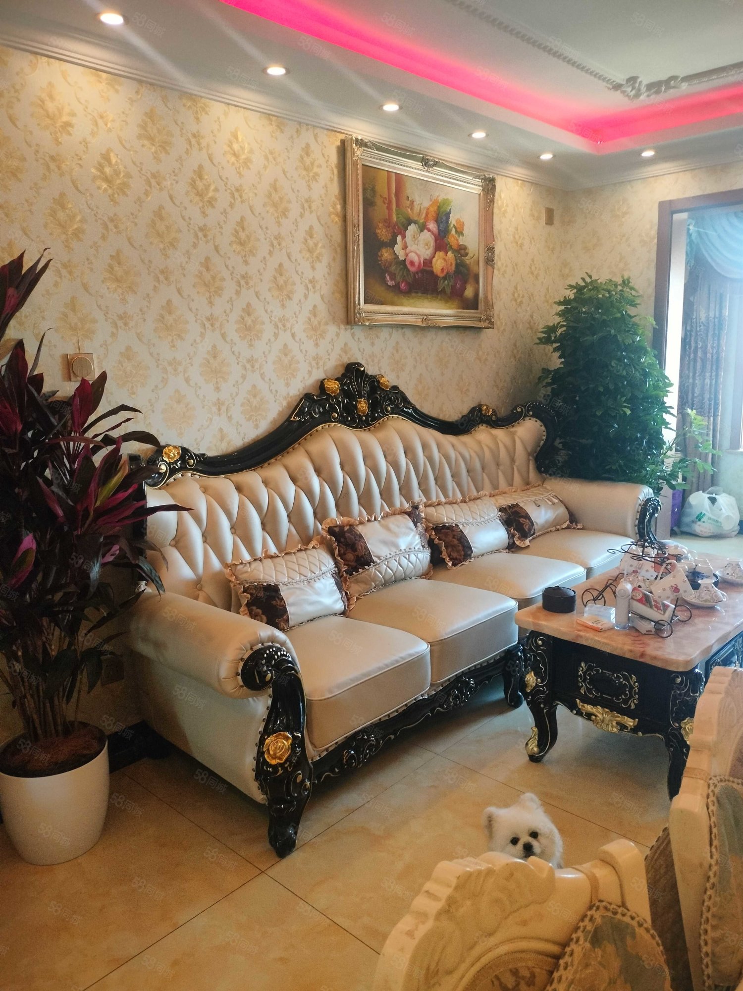 永定河孔雀城劍橋郡(八期)2室1廳1衛(wèi)62.22㎡南北35萬(wàn)