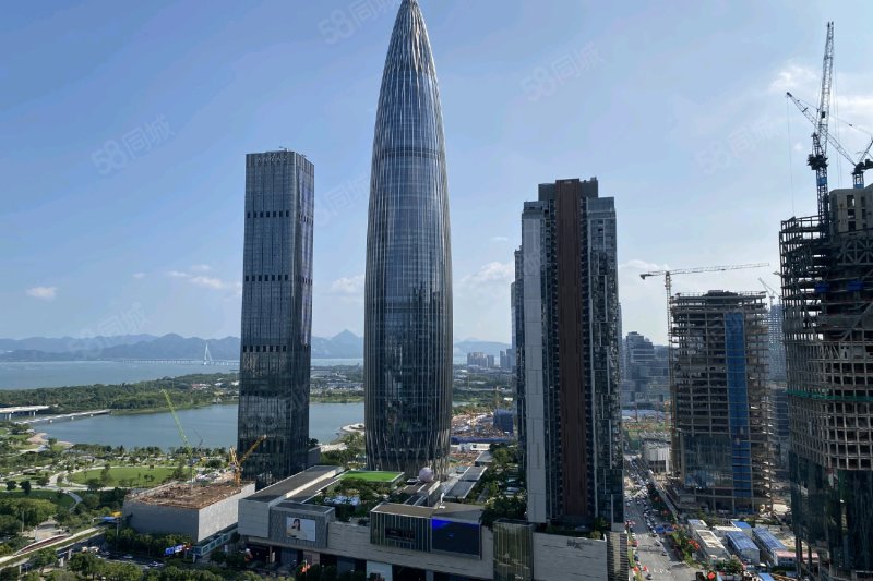 华润深圳湾悦府(一期)4室2厅4卫362.26㎡东4781.83万