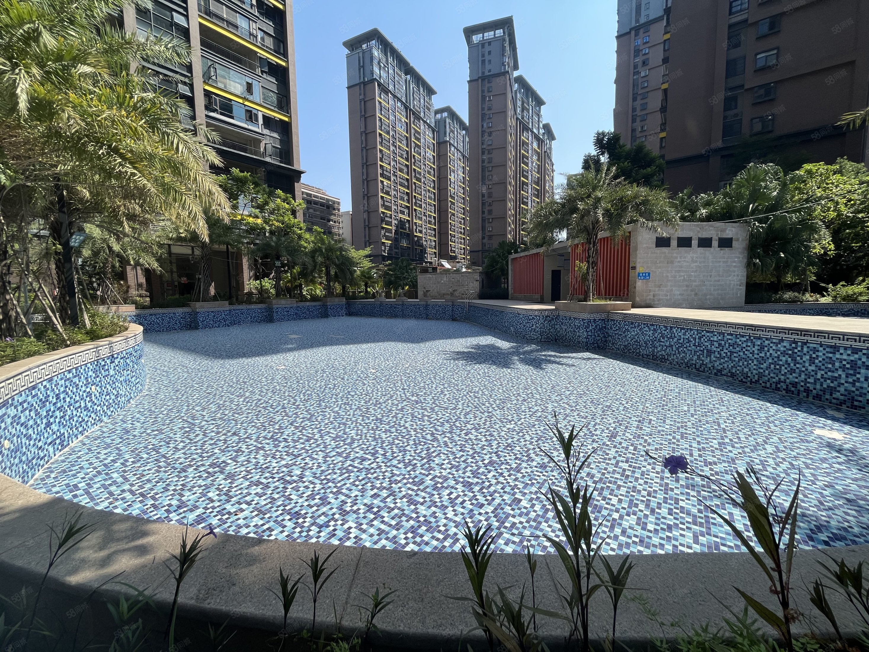 单价9000一线江景博雅苑b区南北通透中高楼层东面套