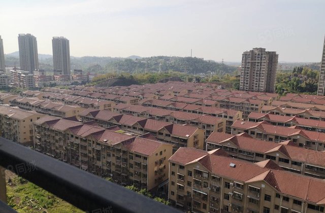 0㎡北中层(共17层) 同景巴黎左岸            