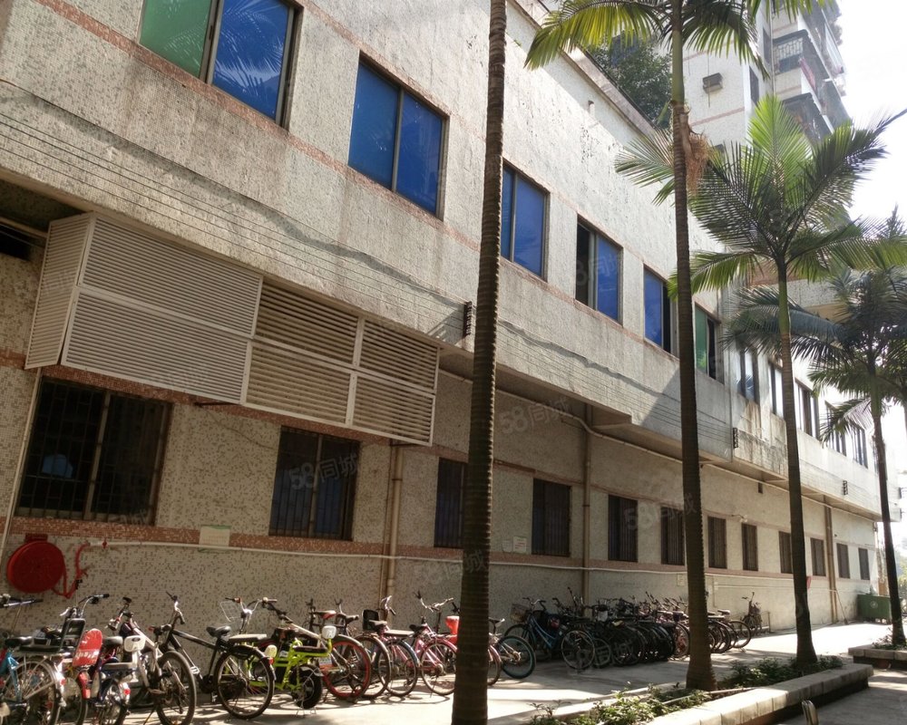 【新丰大厦, 新丰大厦小区详情,房价走势,房源,业主论坛】- 东莞58