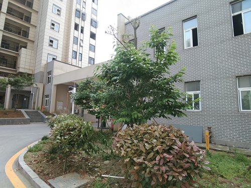花园新村一期五河