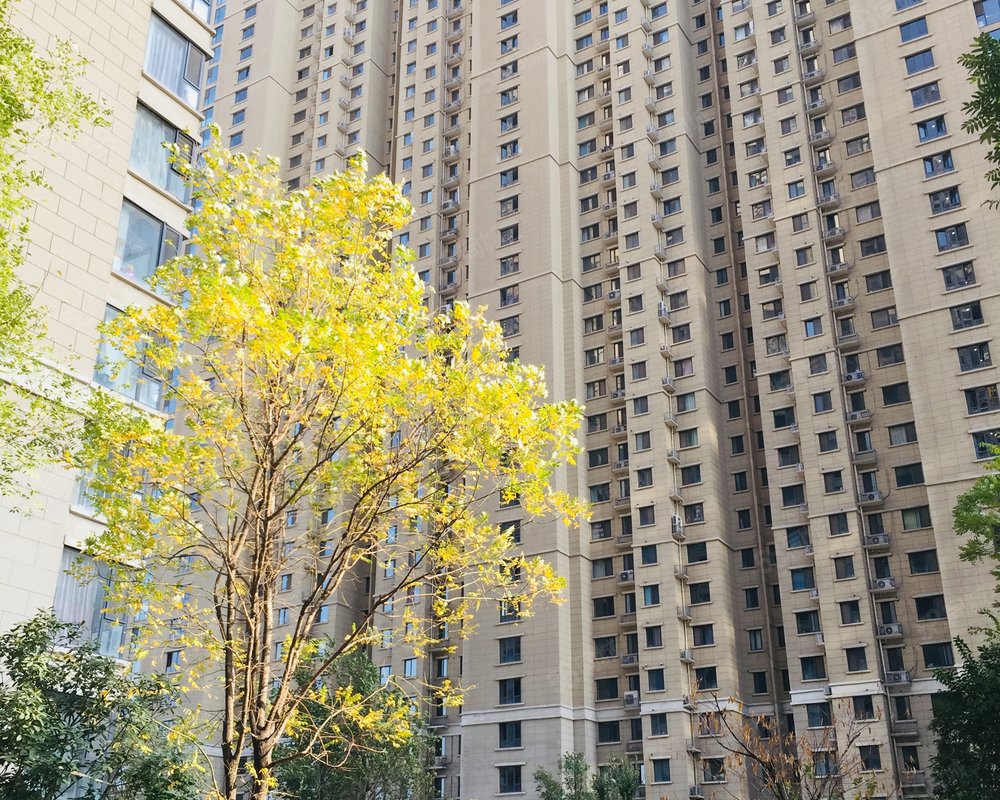 【古都天玺, 古都天玺小区详情,房价走势,房源,业主论坛】- 洛阳58