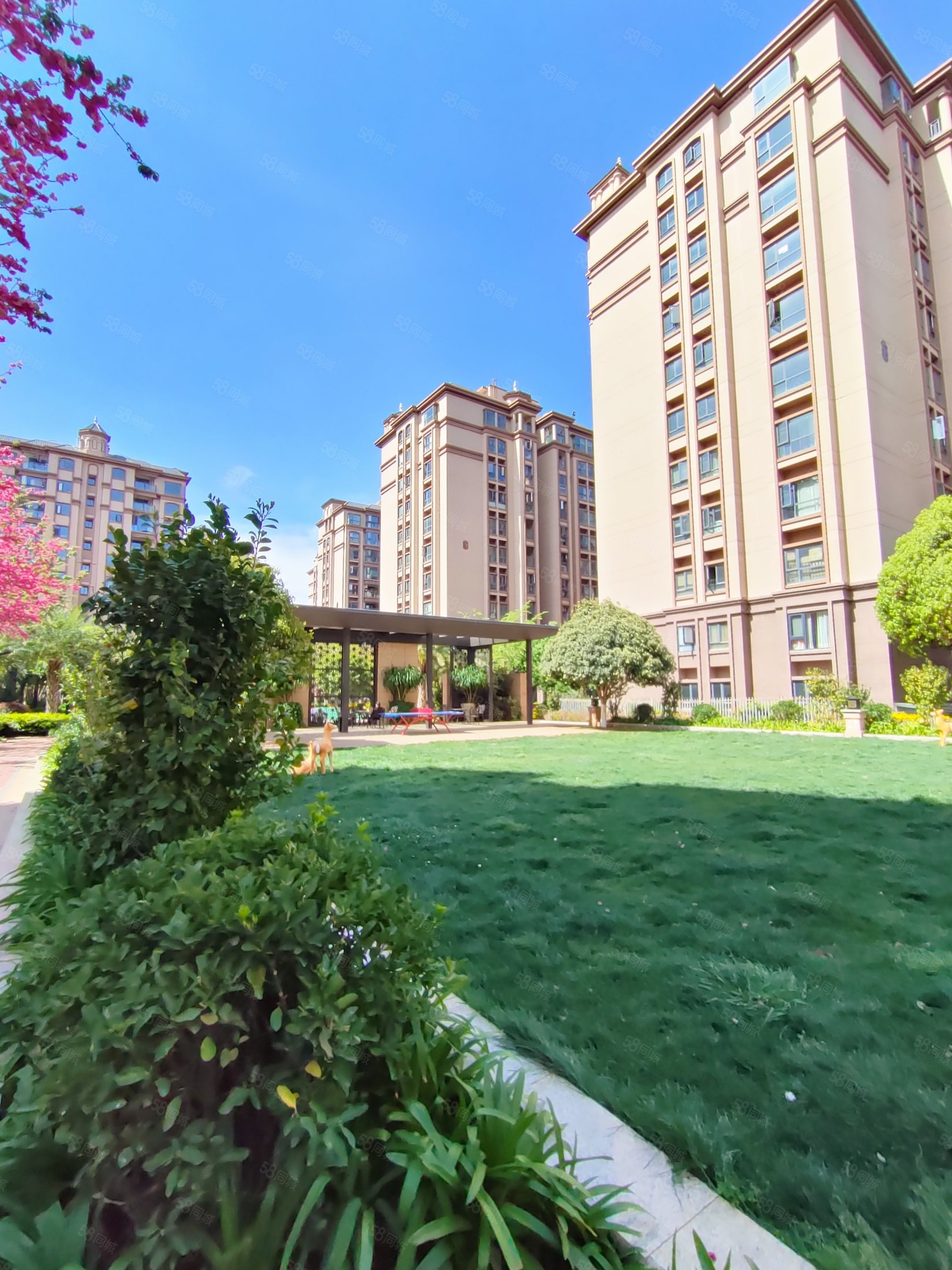 筑友双河湾金榜苑4室2厅2卫125㎡南北160万