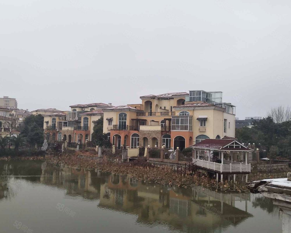 卓越罗纳河谷小区详情,房价走势,房源,业主论坛】- 武汉58同城