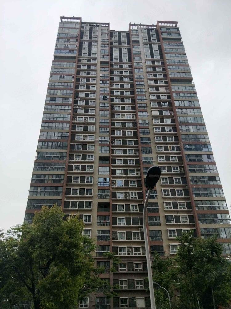 公园道1号装修好商圈成熟小区新小三房医疗配套成熟