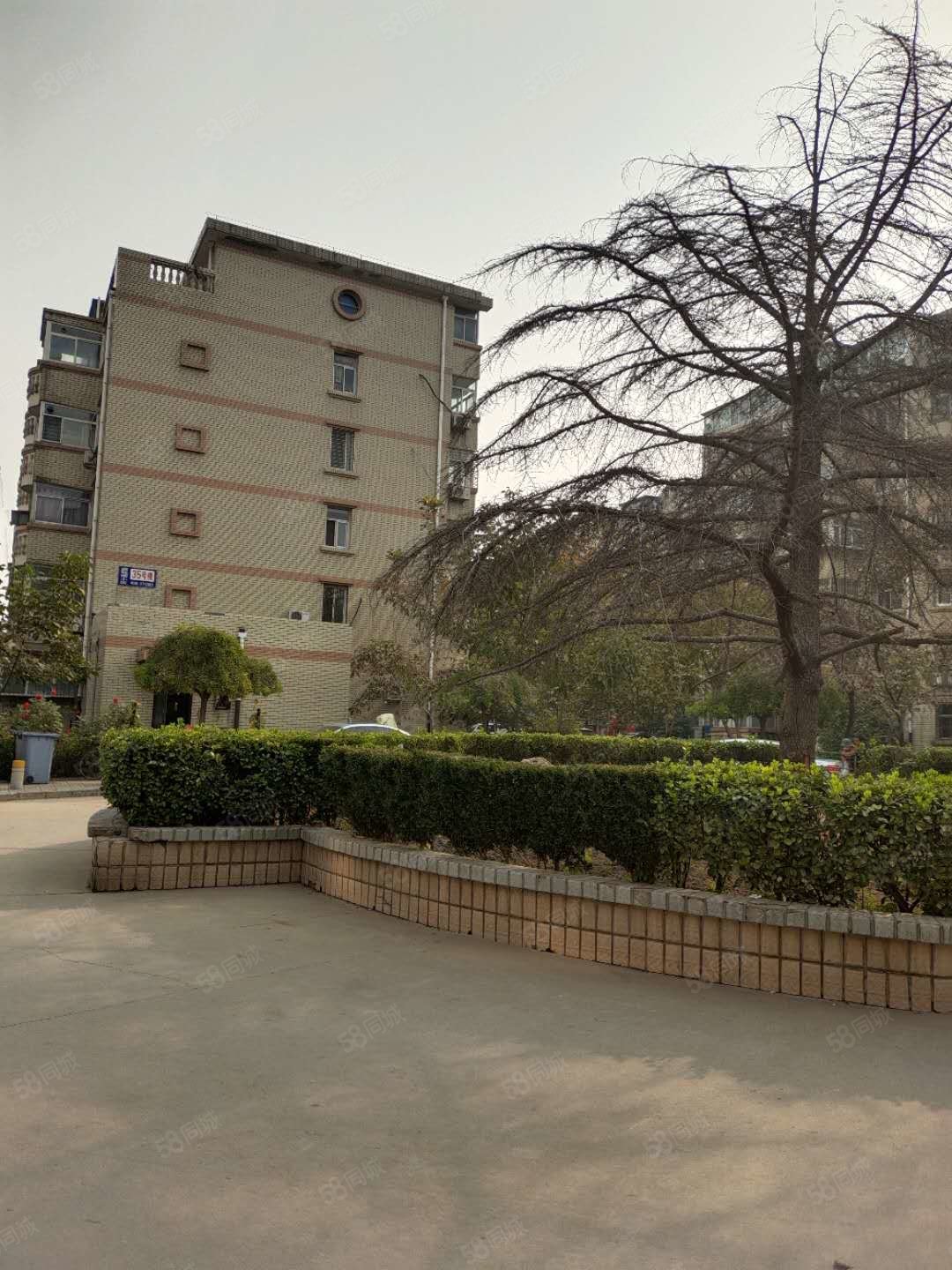 河北 十三中 西苑南区 精装两室 支持公积金,西苑(南区)-保定58同城