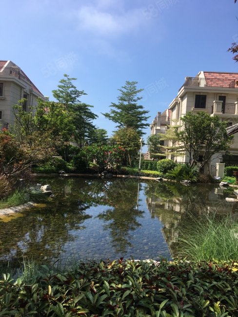 【10图】翔安隧道口世茂御海墅,世茂御海墅(公寓住宅)-厦门58同城