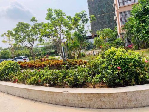 【荔枝苑房价走势,荔枝苑房屋出租,荔枝苑二手房出售】- 三亚58同城