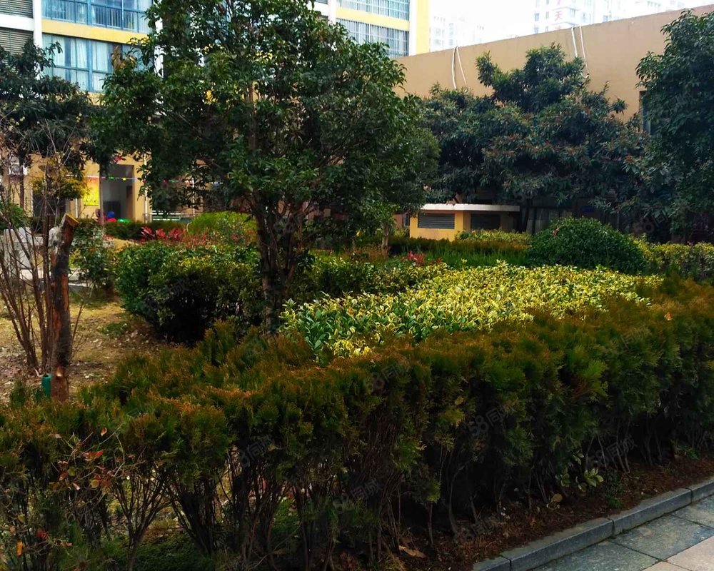 【国泰广场, 国泰广场小区详情,房价走势,房源,业主论坛】- 宿迁58