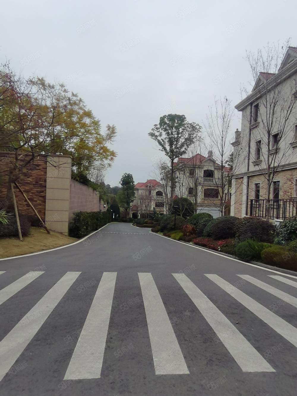 房东急售江山美墅双拼别墅产权205平米实际400平米