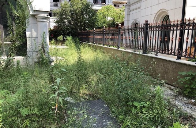 金地荔湖城一百坊376方独栋大别墅赠送400方花园现售550