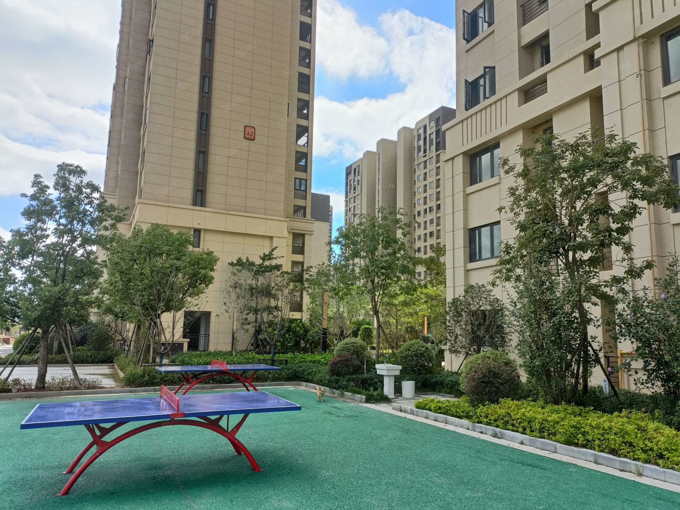 云悦壹号4室2厅2卫135.97㎡南北88万