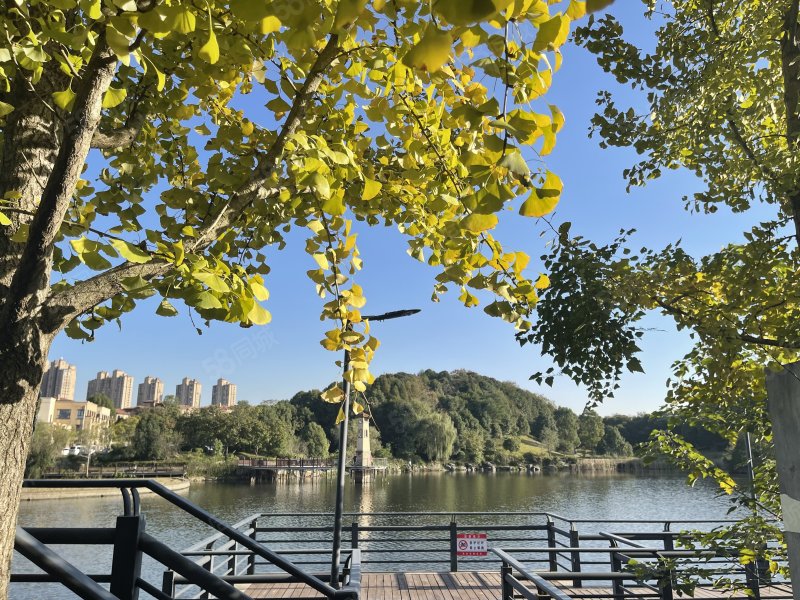 带电梯井,全房已经装修完,随时可以入住,水映加州(别墅)-长沙58同城