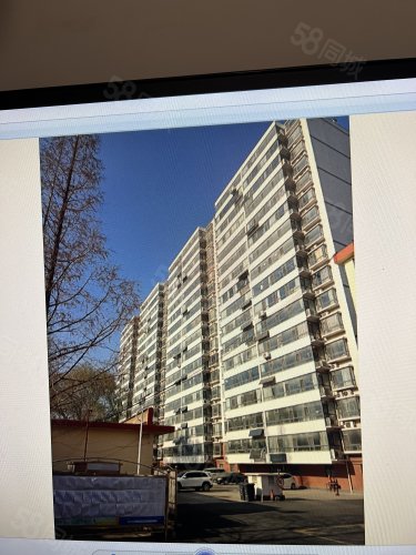 兰山区交警支队家属院前十街