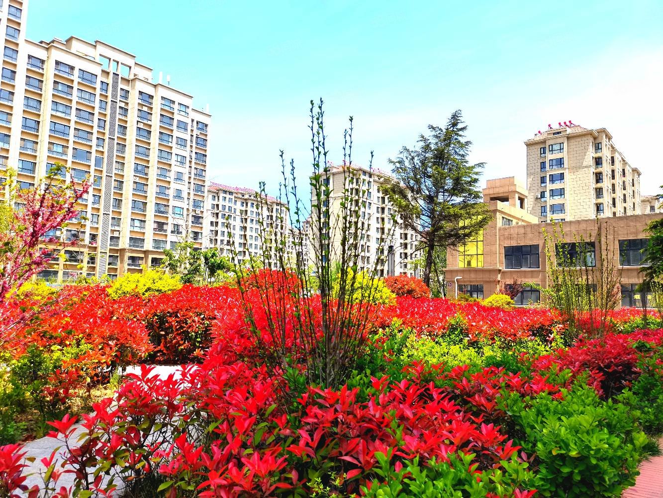 经区温泉 江家寨 首付 五万现房 米兰小镇,米兰小镇-威海58同城