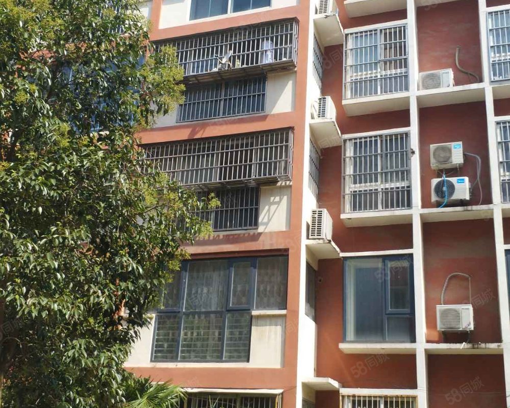 【金水岸花园, 金水岸花园小区详情,房价走势,房源,业主论坛】- 周口