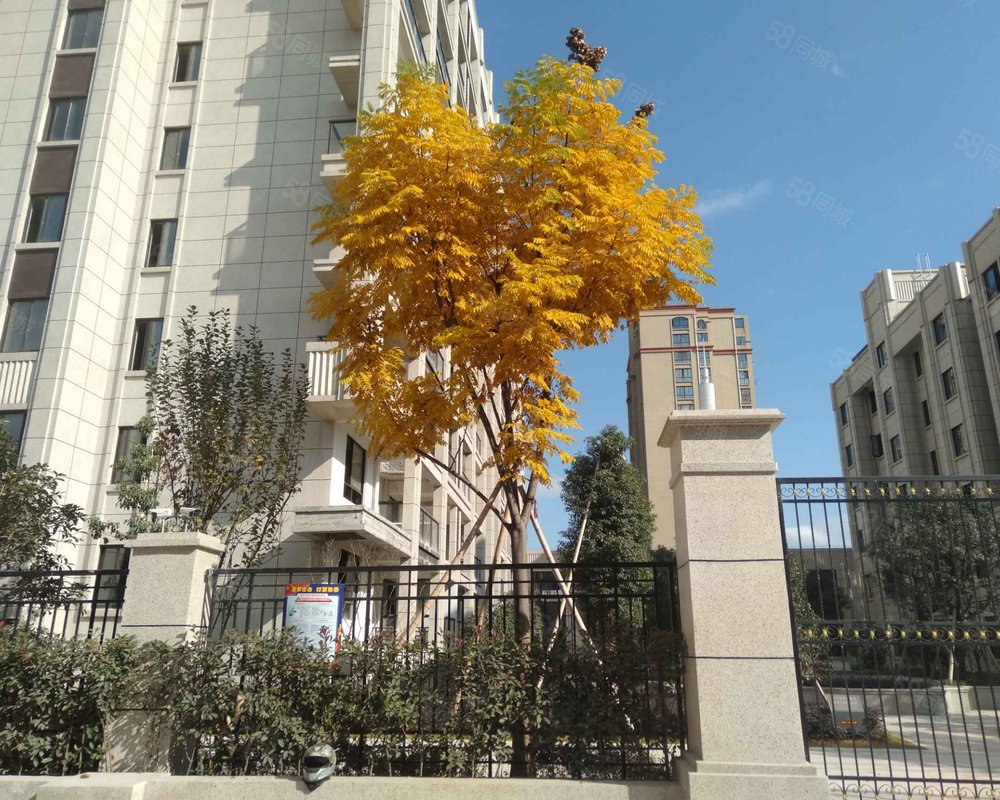 【群升万国城, 群升万国城小区详情,房价走势,房源,业主论坛】- 永康