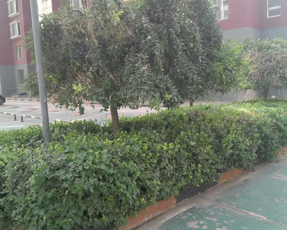 凤凰城(尖草坪)小区详情,房价走势,房源,业主论坛】- 太原58同城