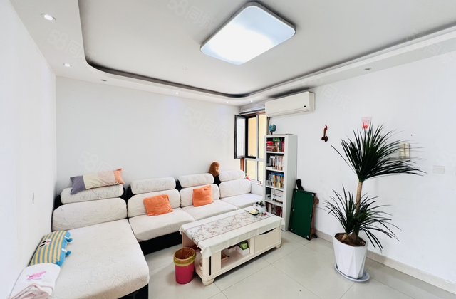 东昌东 东昌丽都 小高层 双卫 三室 带车位储藏室 免大税