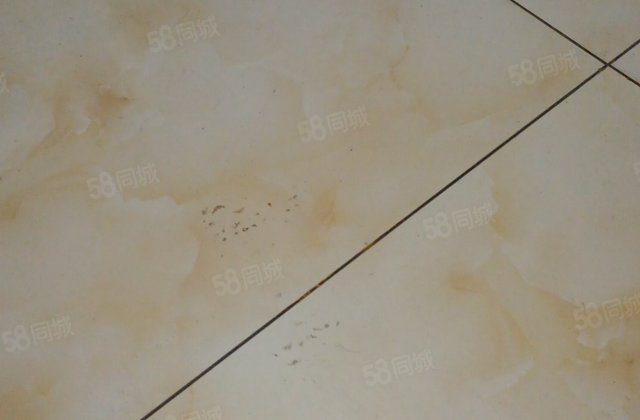 天羿荣耀城3室2厅105.6㎡40万二手房图片