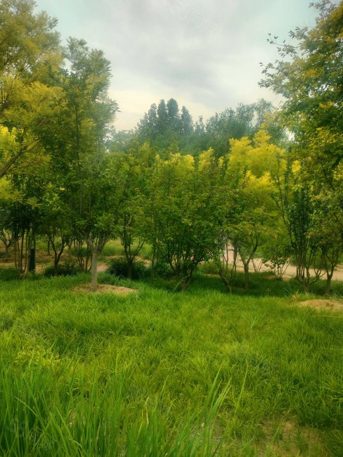 永定河孔雀城劍橋郡(八期)2室1廳1衛(wèi)62.22㎡南北35萬(wàn)