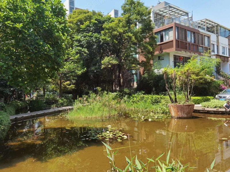 世纪城彼岸小区 退台花园洋房 赠送入室大露台 精装3室有钥匙