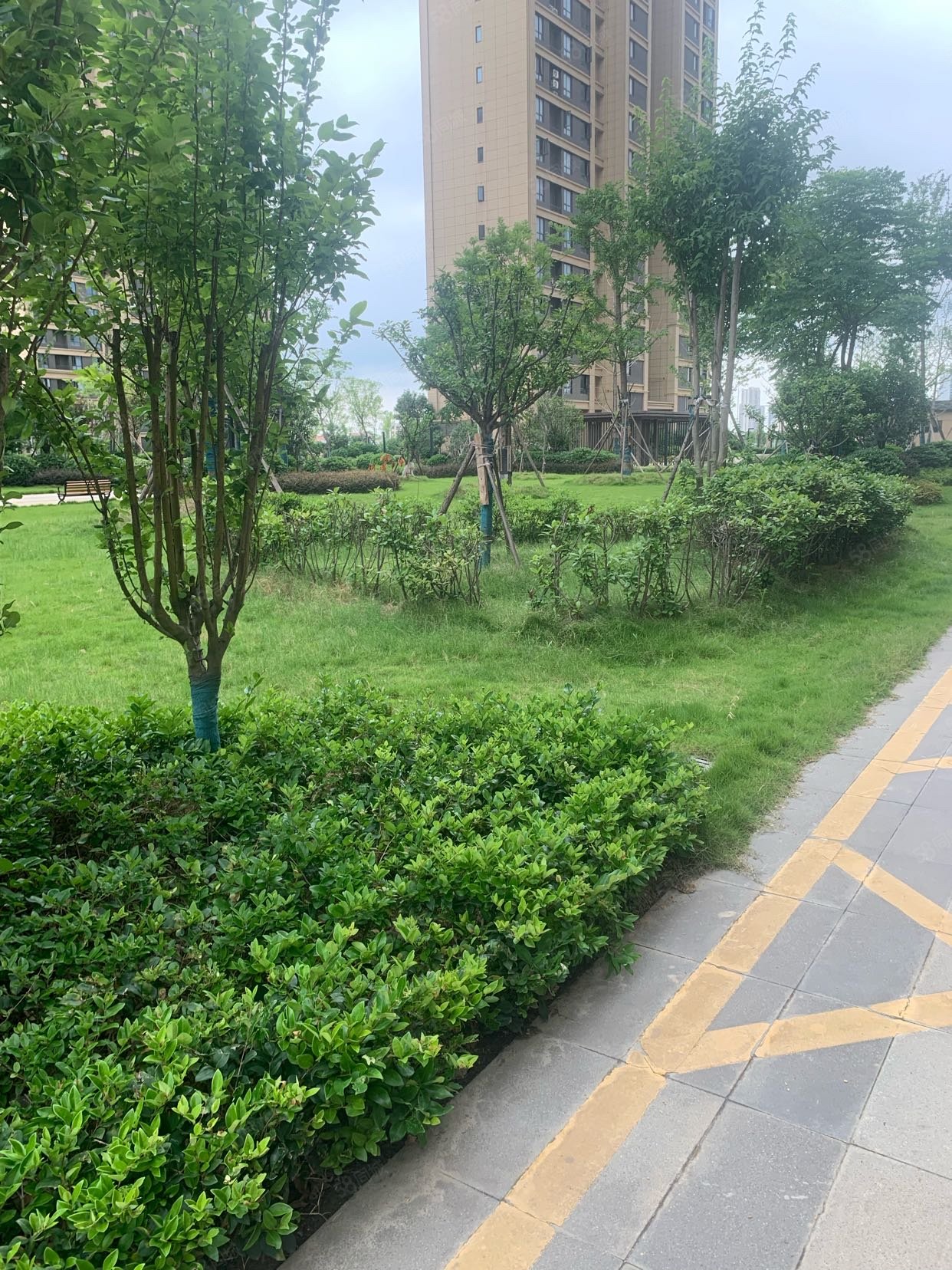 力标澴河壹号院3室2厅2卫108㎡南58万