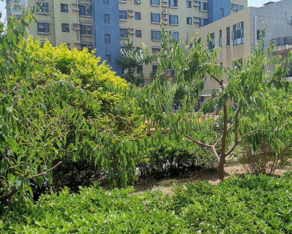 【盛祥家园, 盛祥家园小区详情,房价走势,房源,业主论坛】- 秦皇岛58