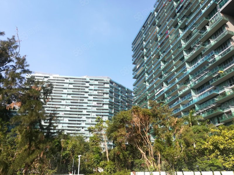 红树西岸2室2厅2卫116.98㎡南0万