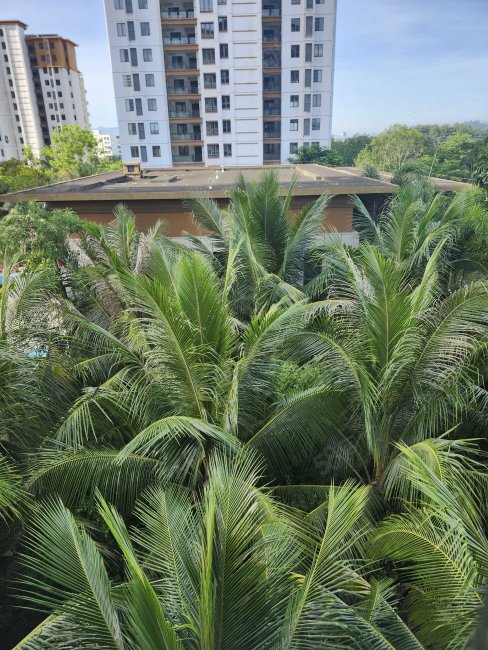 御龙府2室1厅1卫76.81㎡南北41.8万