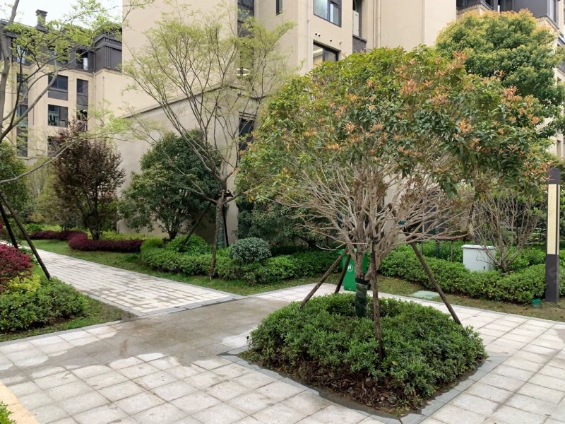 祥生国宾府洋房4室四叶草户型高档小区近星光耀