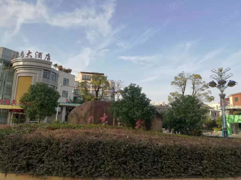 半岛豪园 正规小区 精装修 南北通透 进贤新区 拎包入住