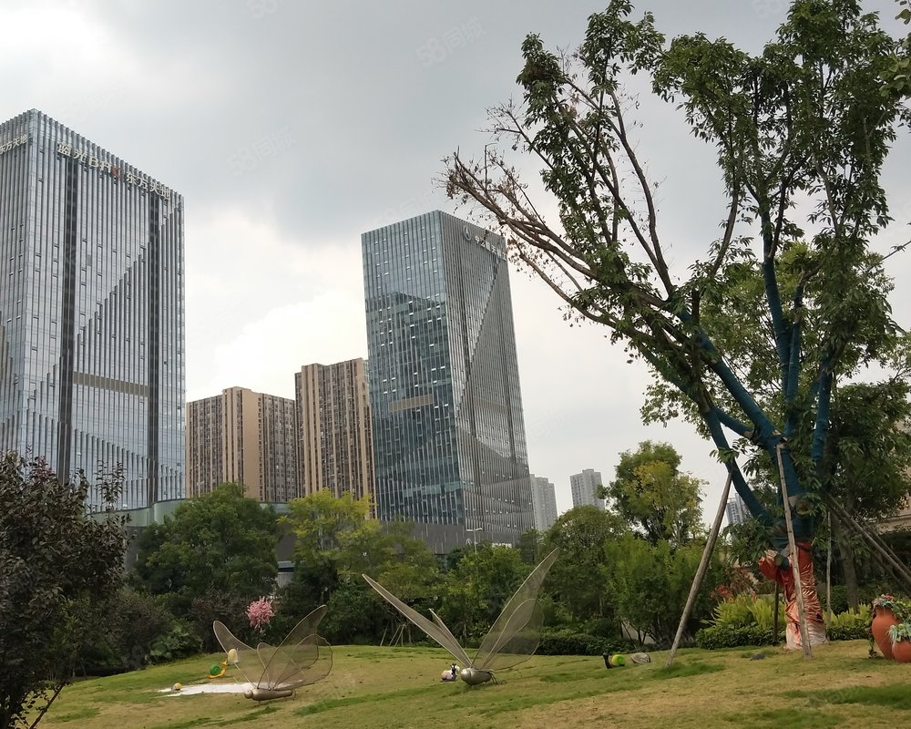 雄飞生活广场小区详情,房价走势,房源,业主论坛】- 成都58同城