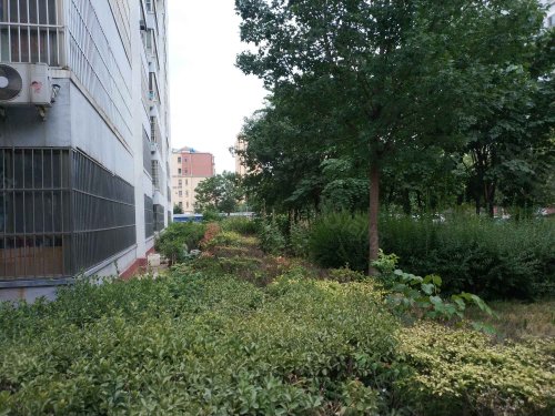 【龙山花园房价走势,龙山花园房屋出租,龙山花园二手房出售】- 邹城58