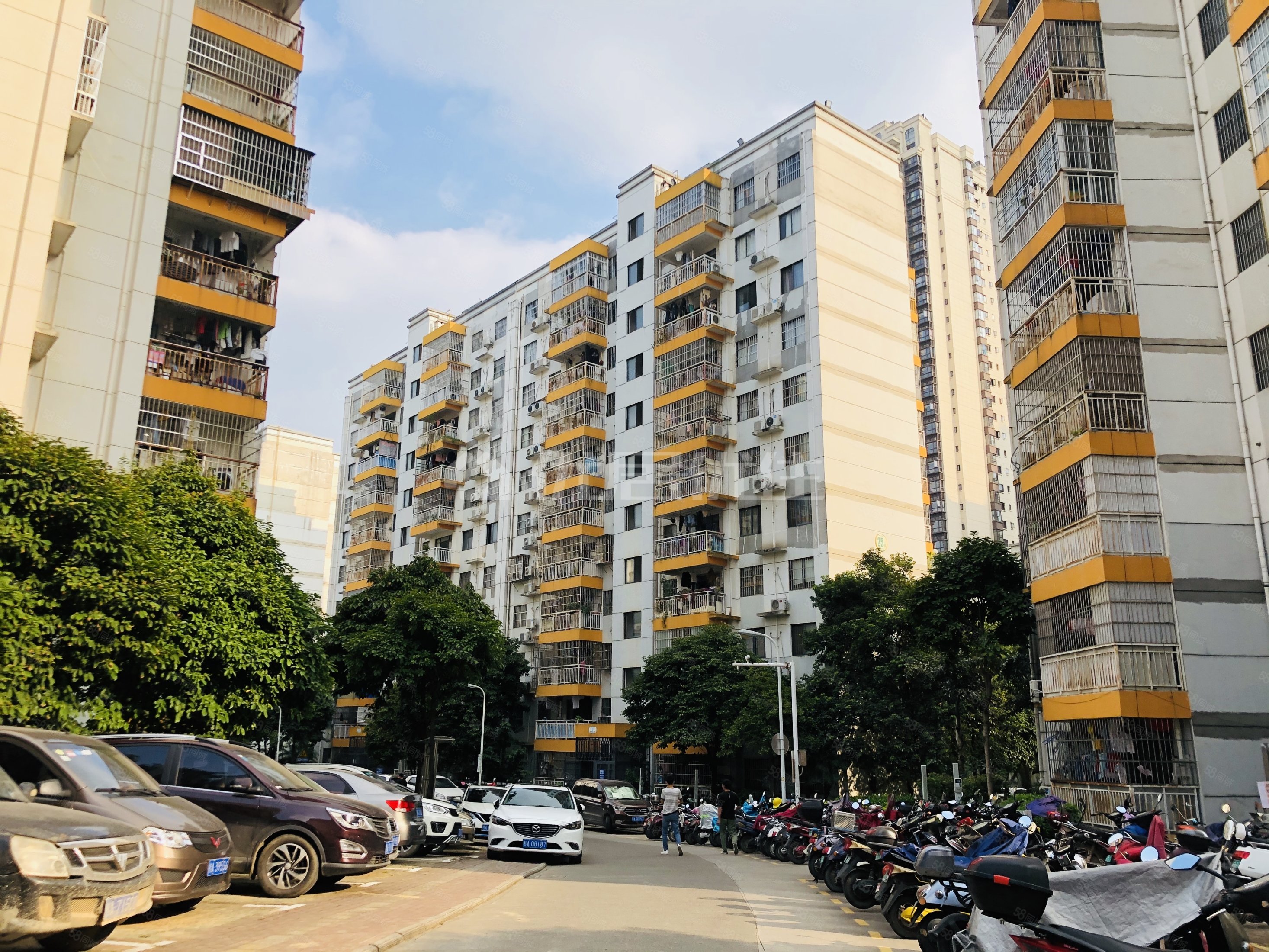 总价低 电梯房 中房碧翠园 简单两房出售