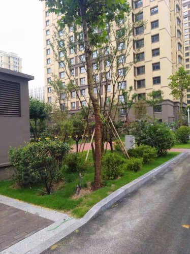 城嘉东方名都房屋出租,城嘉东方名都二手房出售】- 高密58同城