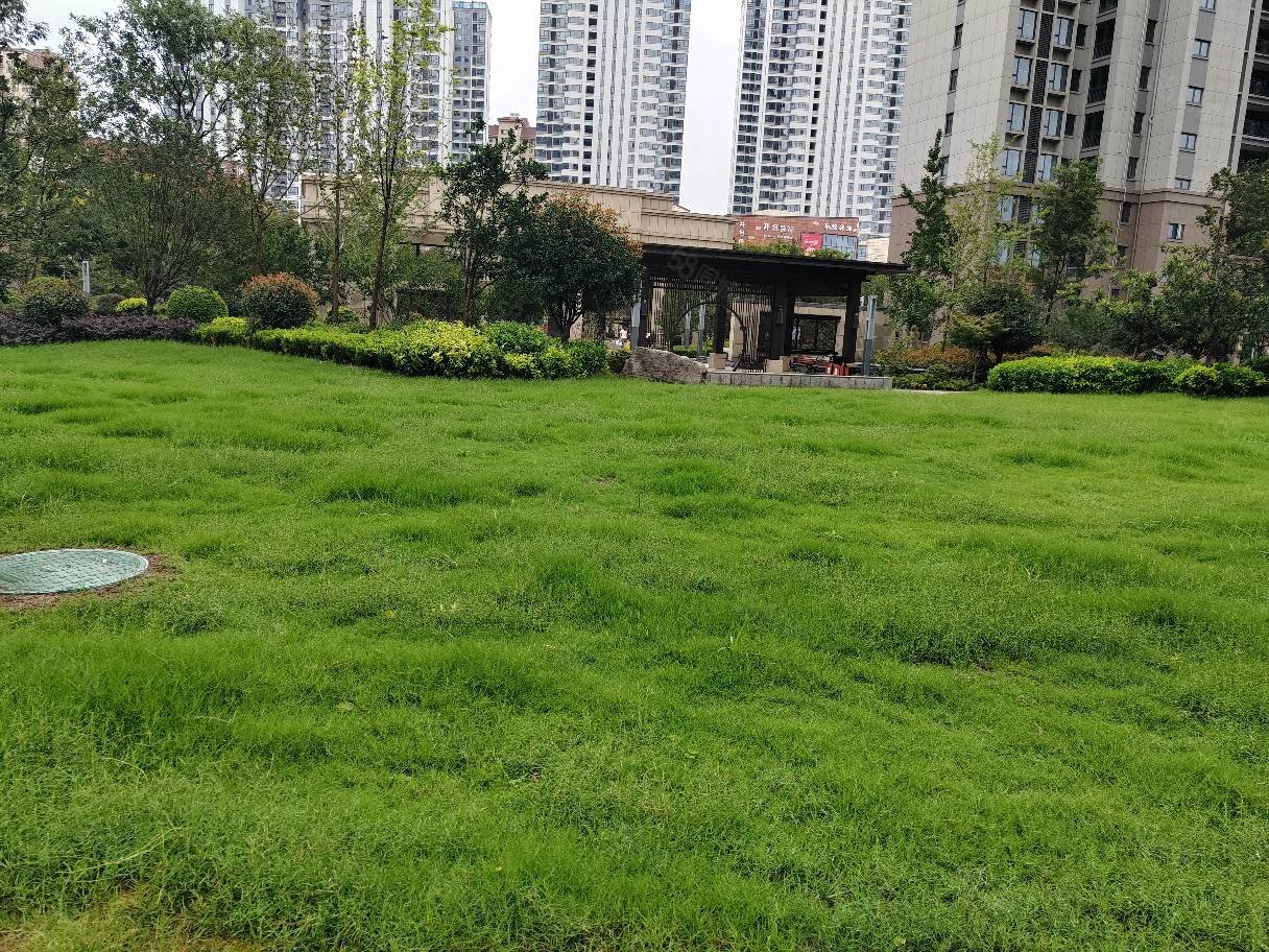 急售现房东襄华府楼层好边户大三房可以看江景