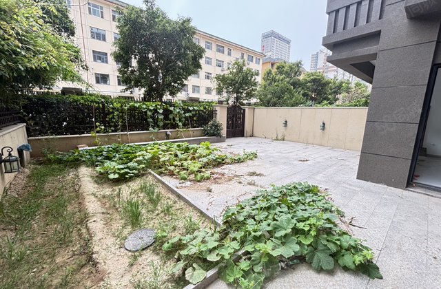 急售清水湾电梯洋房一楼带大院子，带子母车位，好楼层全明户型