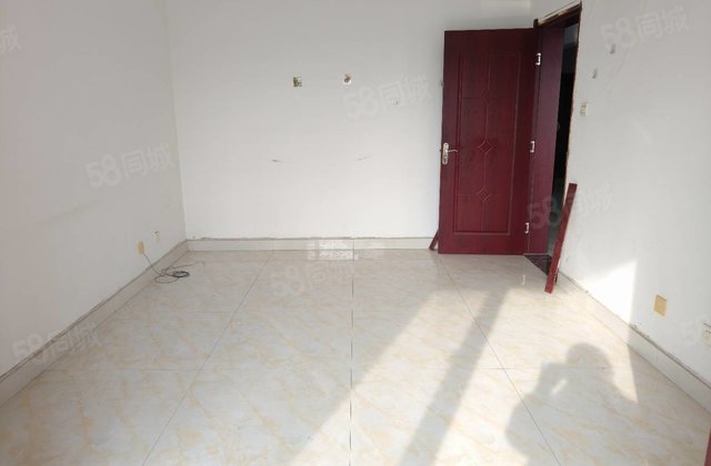 急文轩 外国语 南邻 好楼层 全天采光无遮挡 能按揭随时看房