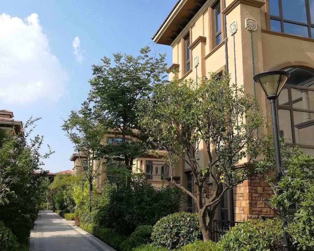 【绿地国际生态城三期(别墅), 绿地国际生态城三期(别墅)小区详情