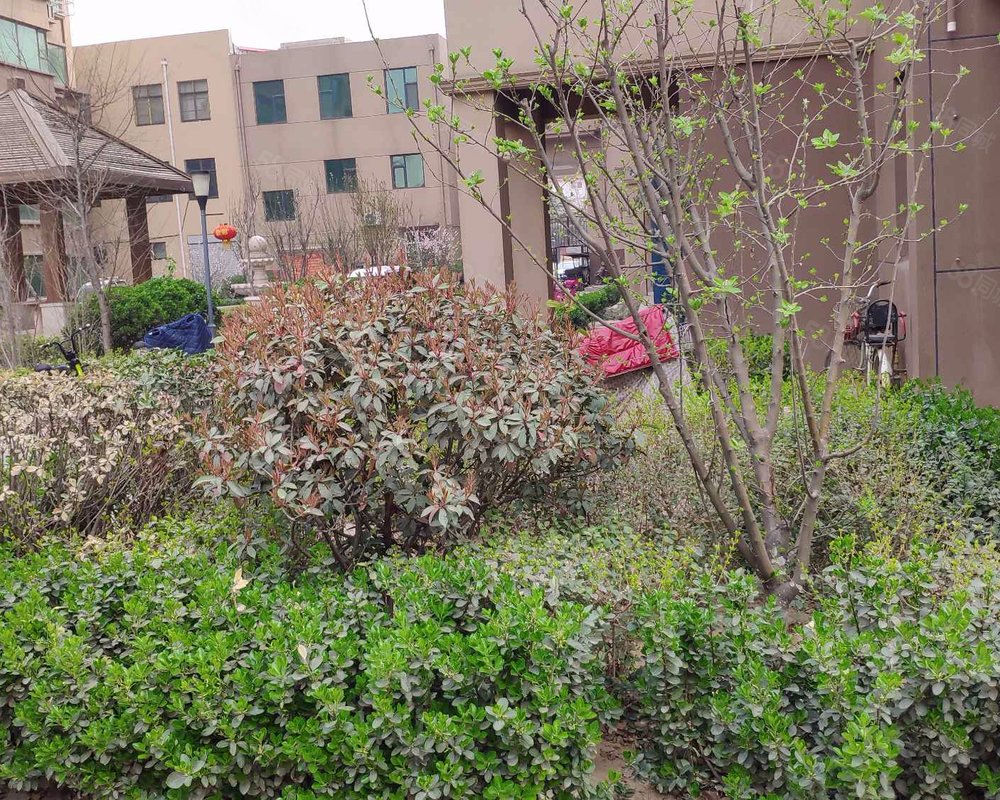 天兆花园(成安)小区详情,房价走势,房源,业主论坛】- 邯郸58同城