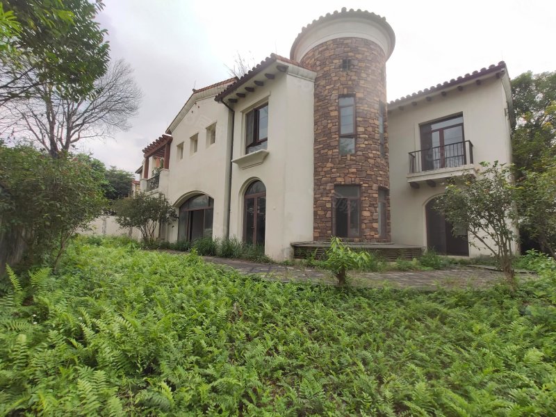 楼层好 南向采光好 临地铁 交通便捷 满五 ,中信森林湖(别墅)-东莞58