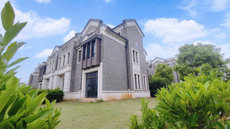 光谷东武汉新城梧桐湖联投水乡小镇,联投水乡小镇