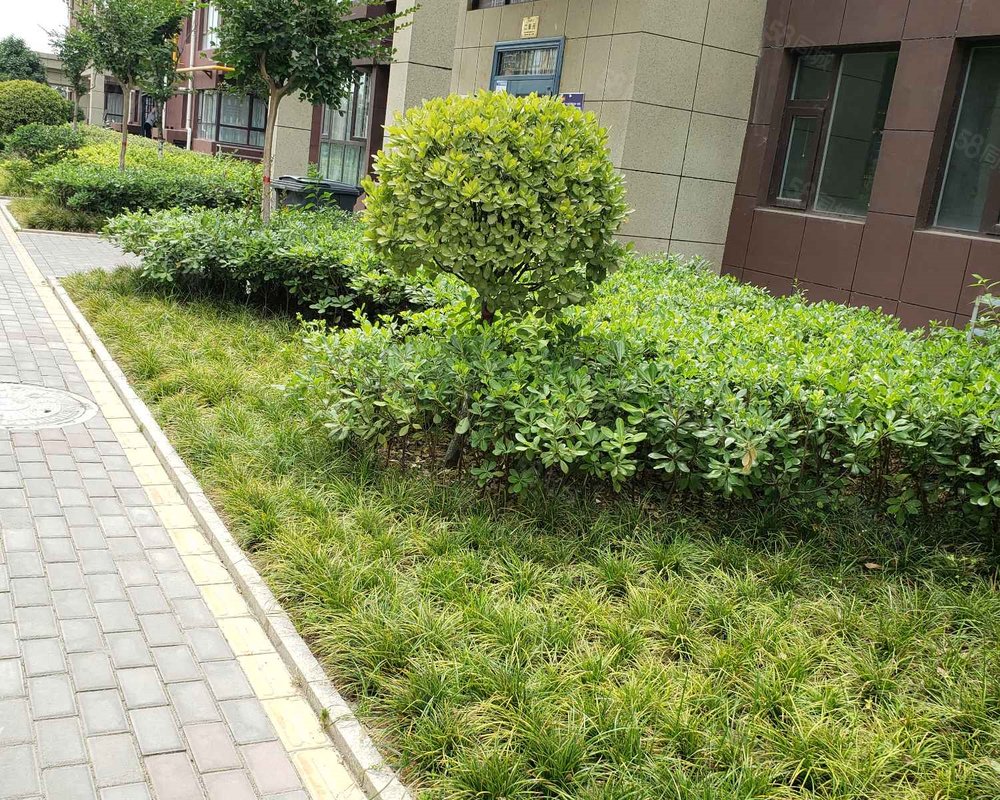 周至水岸东方住宅小区绕城高速以外