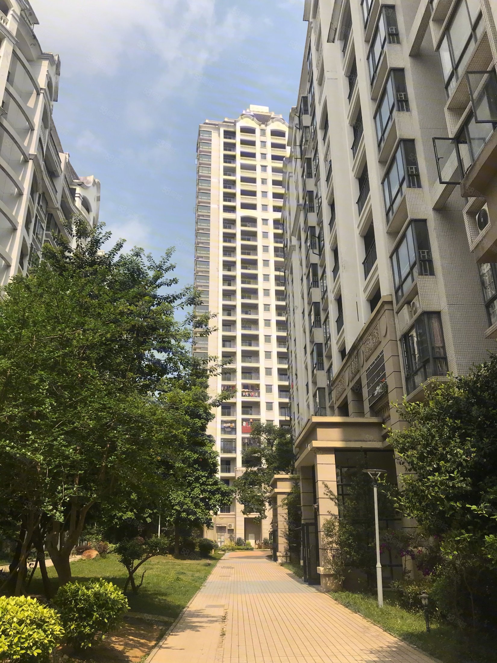 翰林国际 户型方正 高楼层 视野广阔 满二 市中心