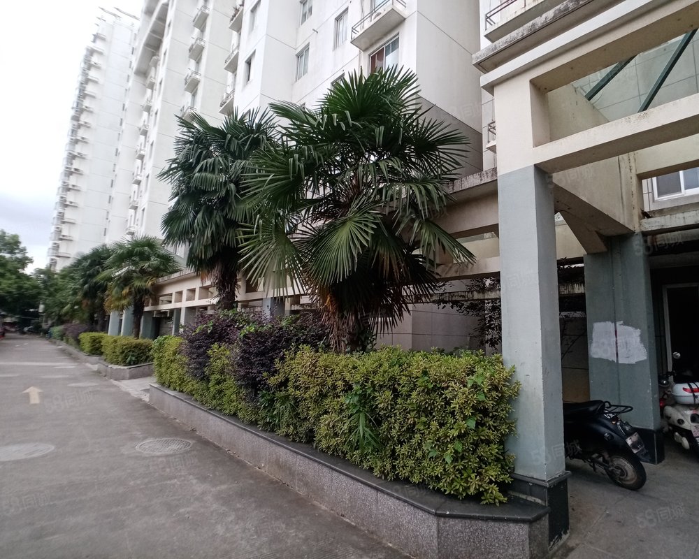 国际花园(长兴)