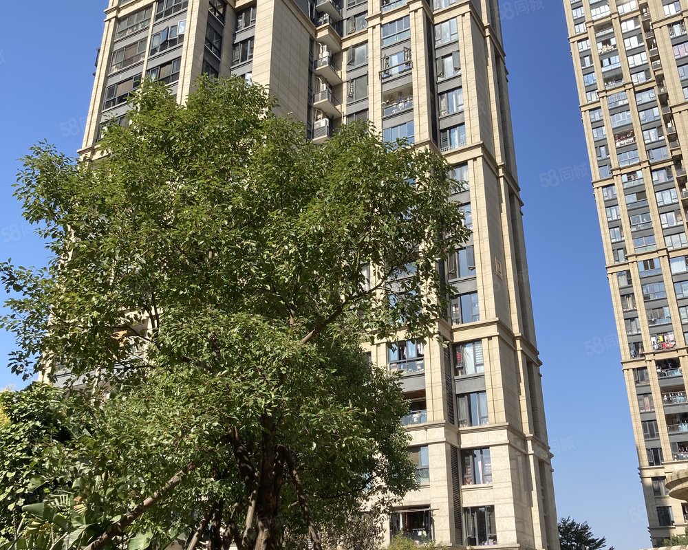 阳光凡尔赛宫a区