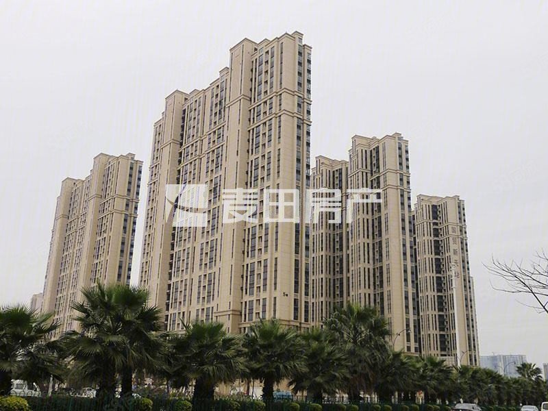 国贸新天地 高楼层视野无遮挡 临地铁 装修豪华保养好 电梯房