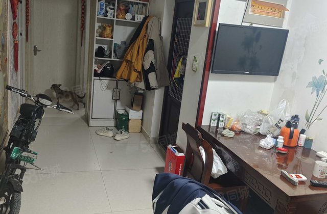房东诚心卖  已隔三室，9楼看房方便送车位送地下室